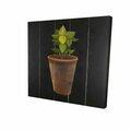 Fondo 16 x 16 in. Plant of Bay Leaves-Print on Canvas FO2786773
